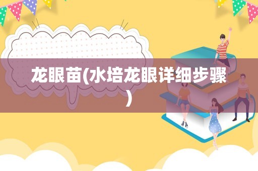 龙眼苗(水培龙眼详细步骤)