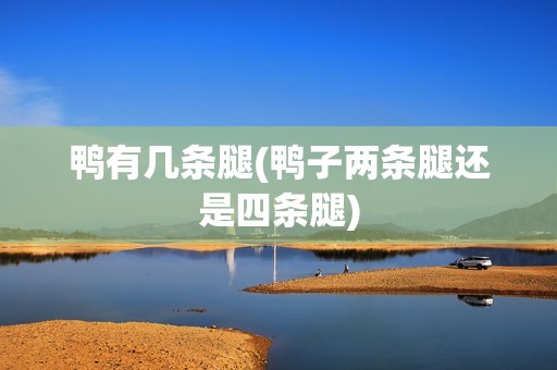 鸭有几条腿(鸭子两条腿还是四条腿)
