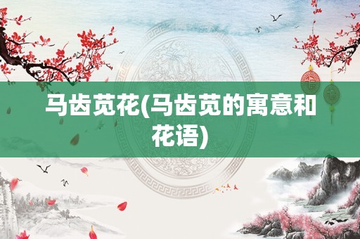 马齿苋花(马齿苋的寓意和花语)