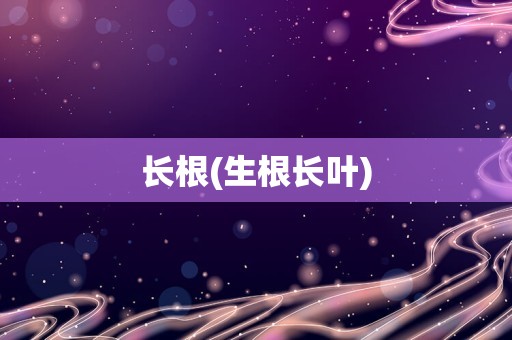 长根(生根长叶)