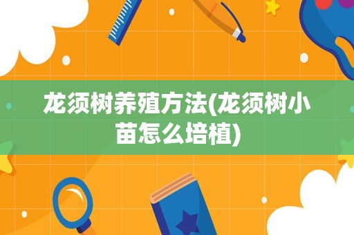 龙须树养殖方法(龙须树小苗怎么培植)