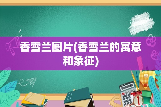 香雪兰图片(香雪兰的寓意和象征)