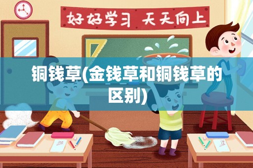 铜钱草(金钱草和铜钱草的区别)