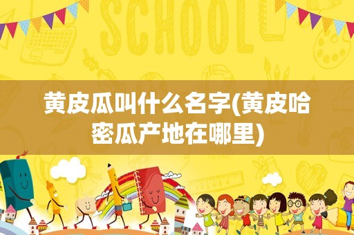 黄皮瓜叫什么名字(黄皮哈密瓜产地在哪里)