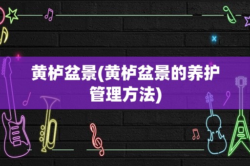 黄栌盆景(黄栌盆景的养护管理方法)