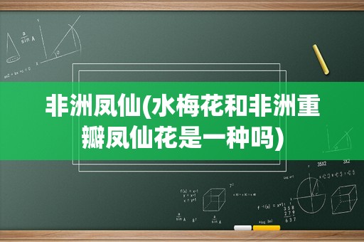 非洲凤仙(水梅花和非洲重瓣凤仙花是一种吗)