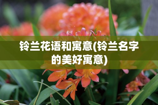 铃兰花语和寓意(铃兰名字的美好寓意)