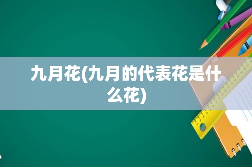 九月花(九月的代表花是什么花)