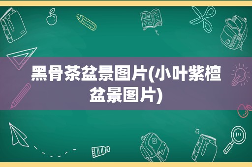 黑骨茶盆景图片(小叶紫檀盆景图片)