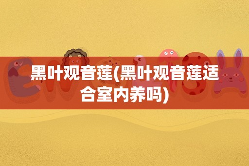 黑叶观音莲(黑叶观音莲适合室内养吗)