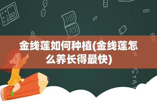 金线莲如何种植(金线莲怎么养长得最快)