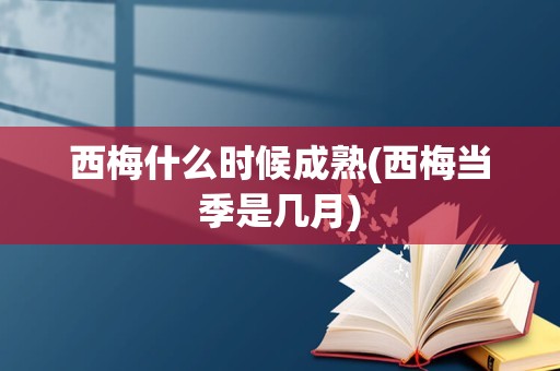 西梅什么时候成熟(西梅当季是几月)