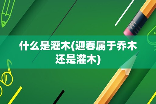 什么是灌木(迎春属于乔木还是灌木)
