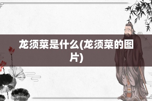龙须菜是什么(龙须菜的图片)