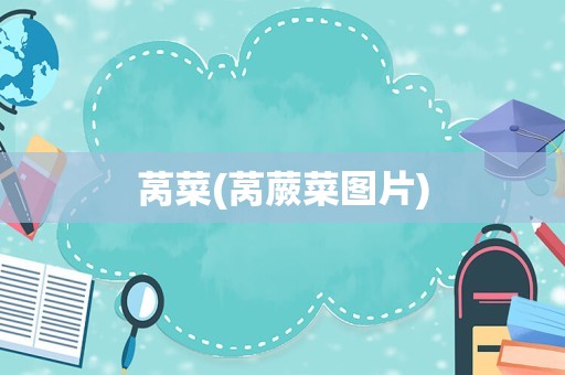 莴菜(莴蕨菜图片)