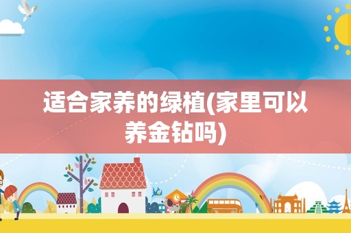 适合家养的绿植(家里可以养金钻吗)