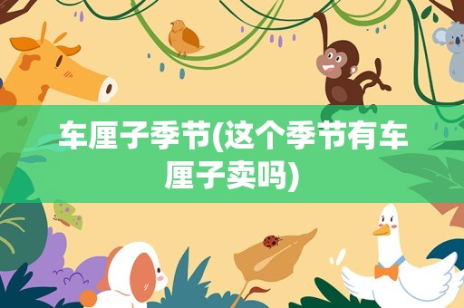 车厘子季节(这个季节有车厘子卖吗)