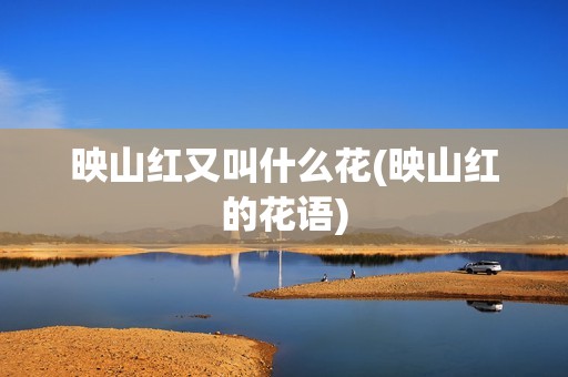 映山红又叫什么花(映山红的花语)