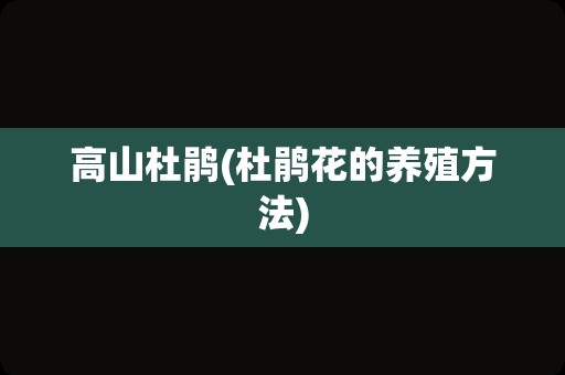 高山杜鹃(杜鹃花的养殖方法)