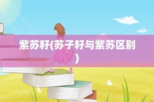 紫苏籽(苏子籽与紫苏区别)
