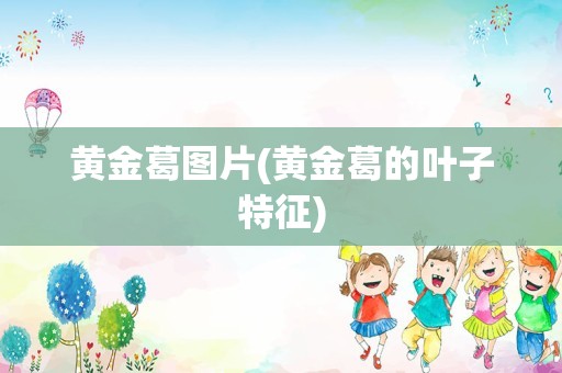 黄金葛图片(黄金葛的叶子特征)