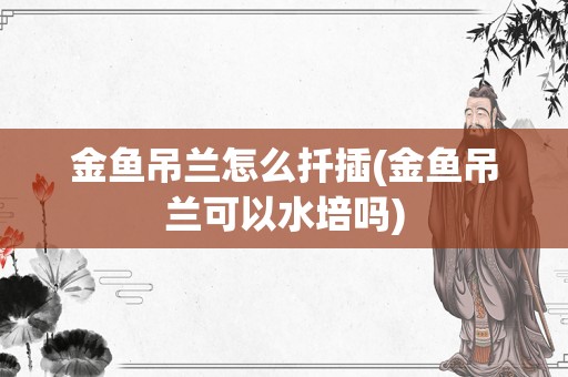 金鱼吊兰怎么扦插(金鱼吊兰可以水培吗)