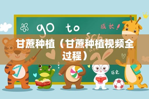 甘蔗种植（甘蔗种植视频全过程）