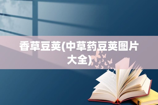 香草豆荚(中草药豆荚图片大全)