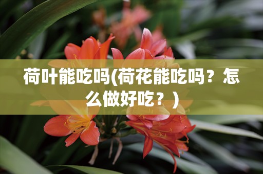 荷叶能吃吗(荷花能吃吗？怎么做好吃？)