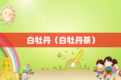 白牡丹（白牡丹茶）