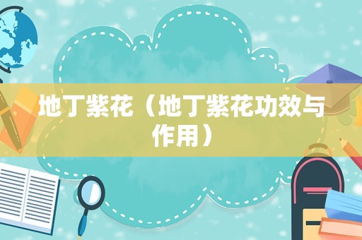地丁紫花（地丁紫花功效与作用）