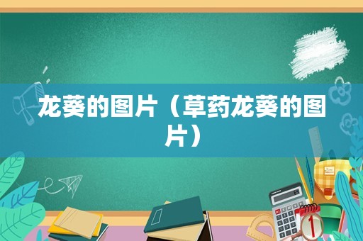 龙葵的图片（草药龙葵的图片）