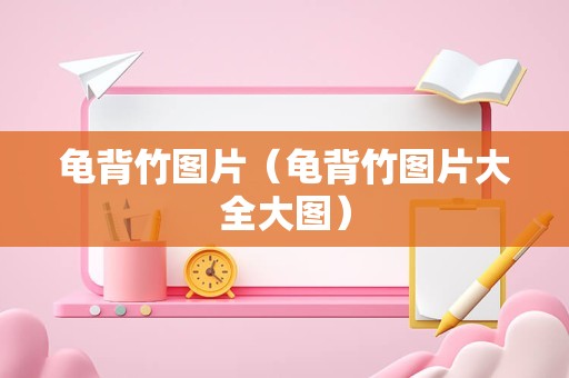 龟背竹图片（龟背竹图片大全大图）
