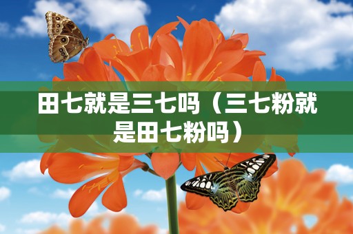 田七就是三七吗（三七粉就是田七粉吗）