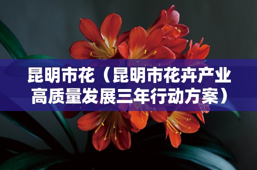 昆明市花（昆明市花卉产业高质量发展三年行动方案）