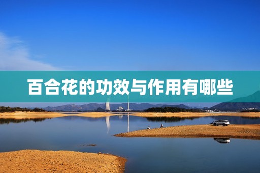 百合花的功效与作用有哪些