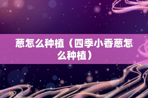 葱怎么种植（四季小香葱怎么种植）