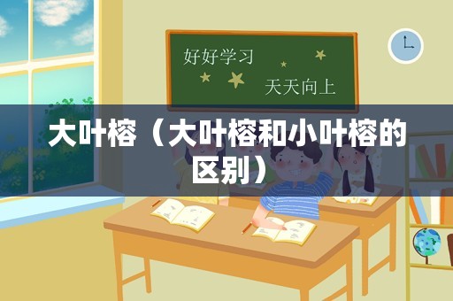 大叶榕（大叶榕和小叶榕的区别）