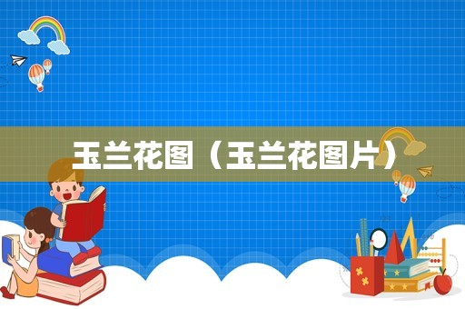玉兰花图（玉兰花图片）