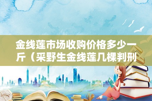 金线莲市场收购价格多少一斤（采野生金线莲几棵判刑）