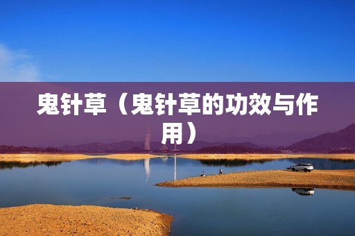 鬼针草（鬼针草的功效与作用）