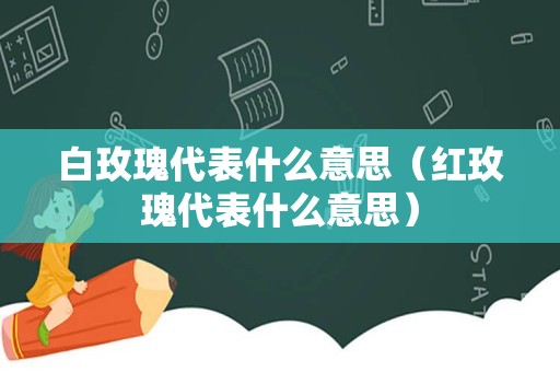 白玫瑰代表什么意思（红玫瑰代表什么意思）