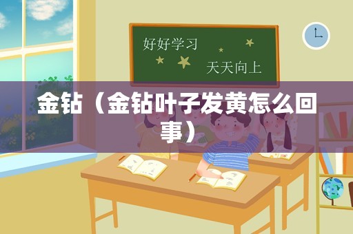 金钻（金钻叶子发黄怎么回事）