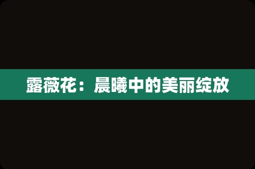 露薇花:晨曦中的美丽绽放