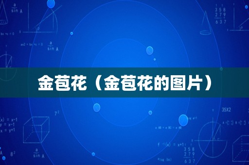 金苞花（金苞花的图片）