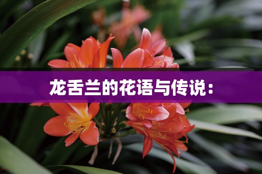 龙舌兰的花语与传说：
