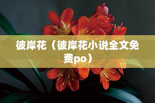 彼岸花（彼岸花小说全文免费po）