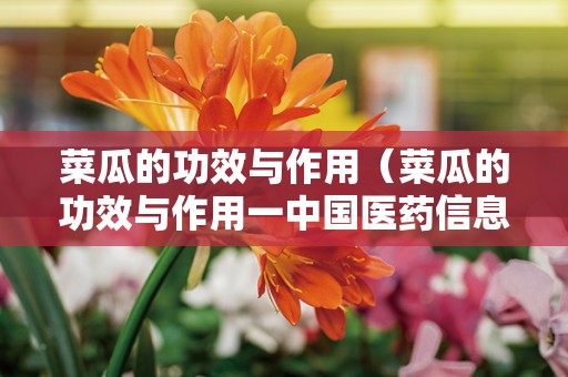 菜瓜的功效与作用（菜瓜的功效与作用一中国医药信息查询平台）