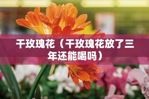 干玫瑰花（干玫瑰花放了三年还能喝吗）