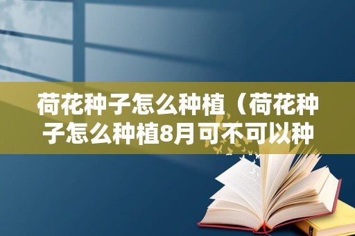 荷花种子怎么种植（荷花种子怎么种植8月可不可以种）